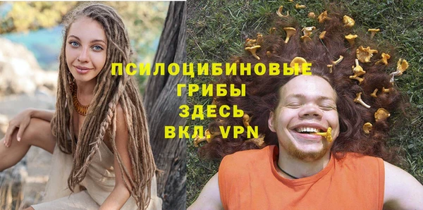 экстази Бородино