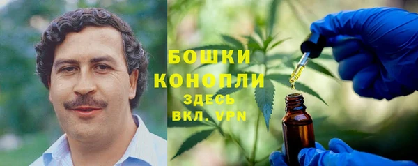 молекула духа Бугульма