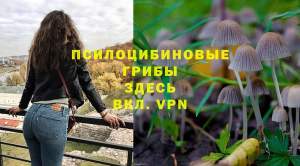 молекула духа Бугульма