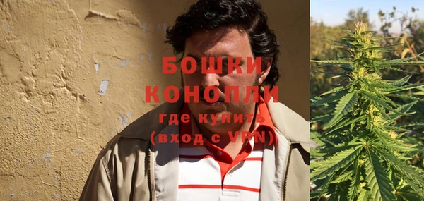 молекула духа Бугульма