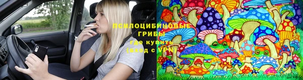 экстази Бородино