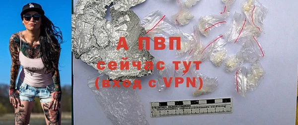 экстази Бородино