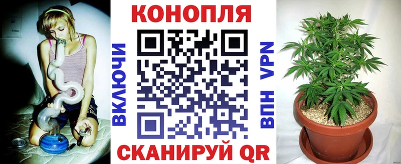 Бошки марихуана ГИДРОПОН Киржач